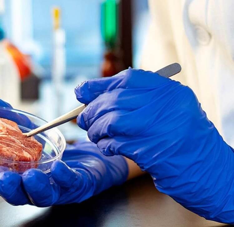 Barking up the right tree: UK is European first to allow cultured ‘meat’ for pets