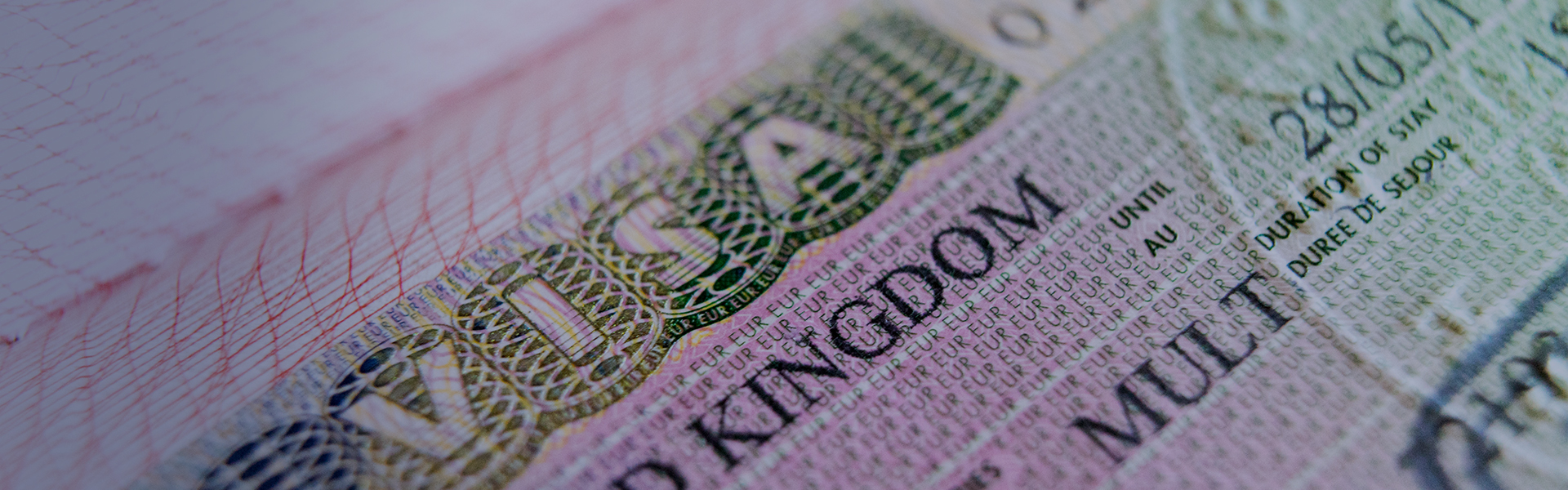 Immigration and employment needs