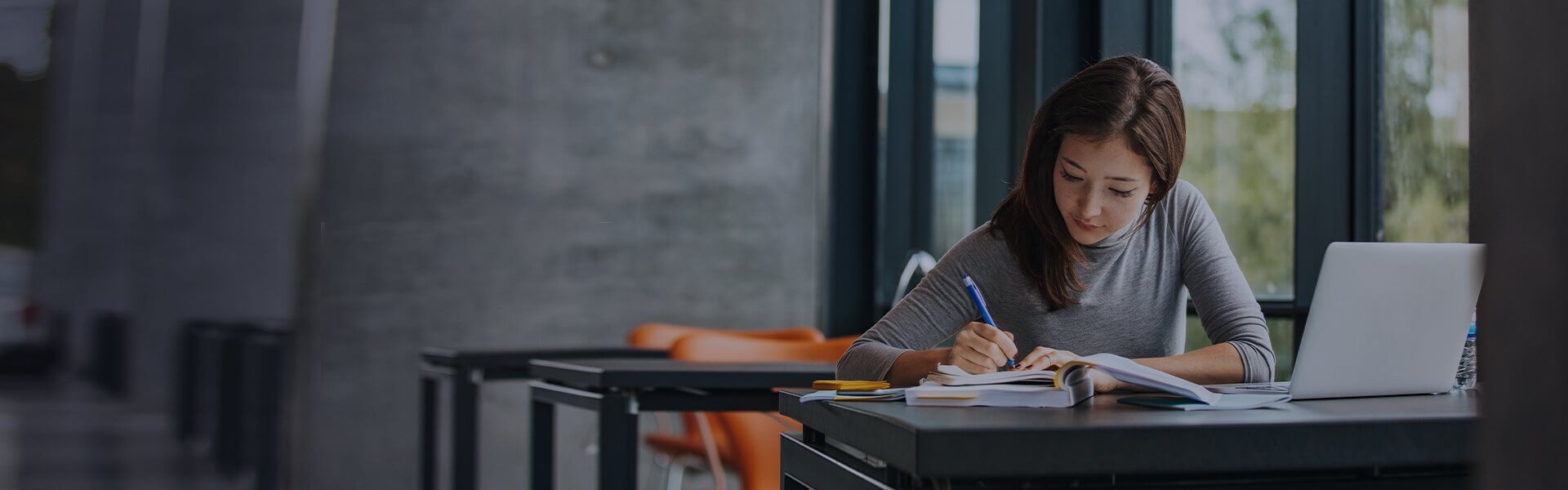 Image of student working at desk