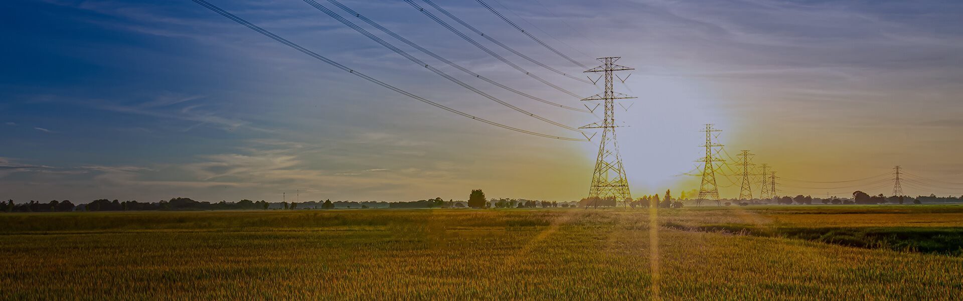 Image of overhead electricity power lines